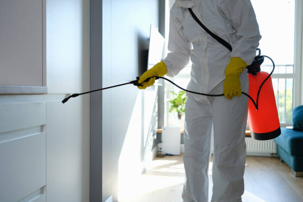 Best Commercial Mold Remediation in Peosta, IA